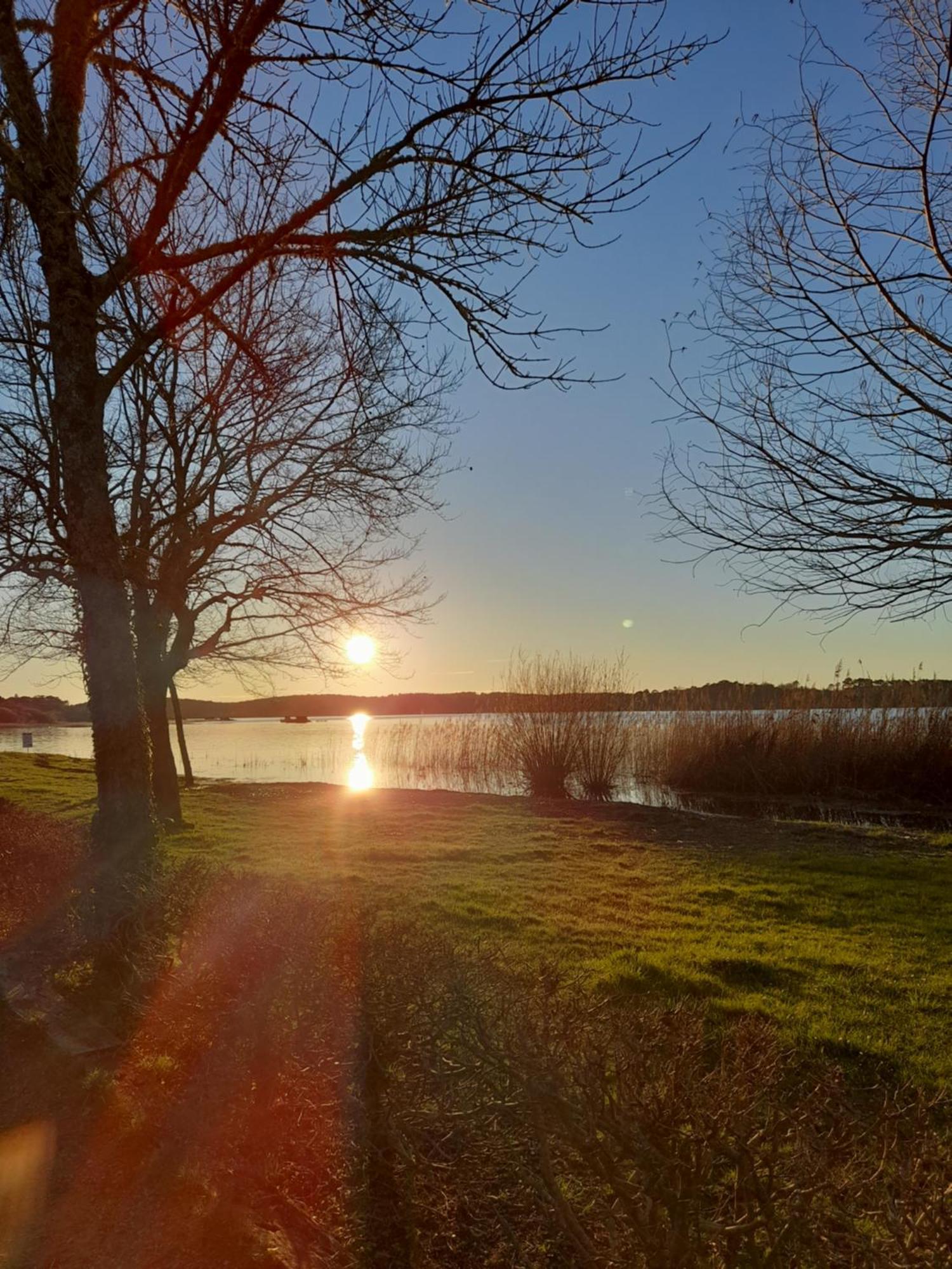 Appartement Les Terrasses Du Lac オレイアン エクステリア 写真